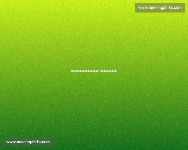 苹果发布会聚焦创新技术与全新产品亮相 引领未来科技发展新潮流